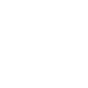 Mobile ICON Mobile ICON